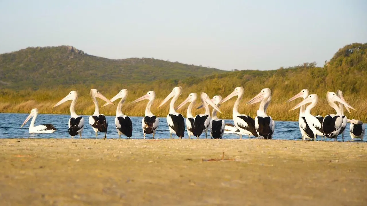 База отдыха Castaways Moreton Island Bulwer